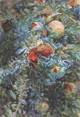 John Singer Sargent Pomegranates (mk18) oil painting picture